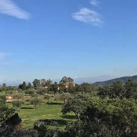 Is Conchisceddas Feriegård *