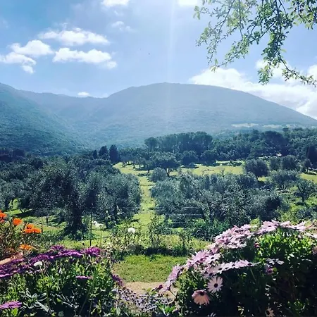 农家乐 Is Conchisceddas *