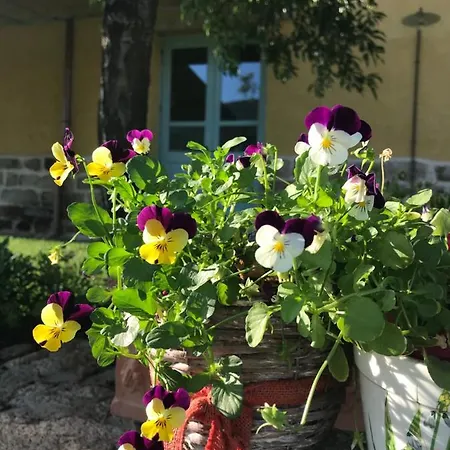 Is Conchisceddas Feriegård *