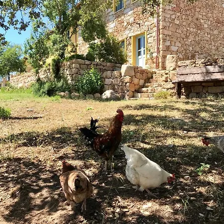 Is Conchisceddas * Gonnosfanàdiga