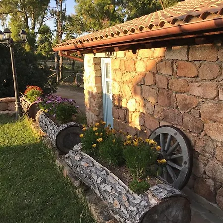 Is Conchisceddas 农家乐 Gonnosfanàdiga