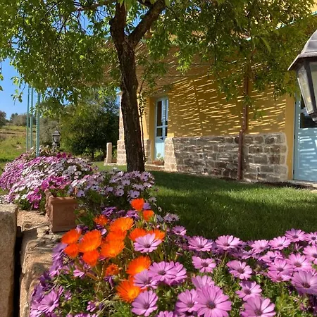 Is Conchisceddas Farm stay *