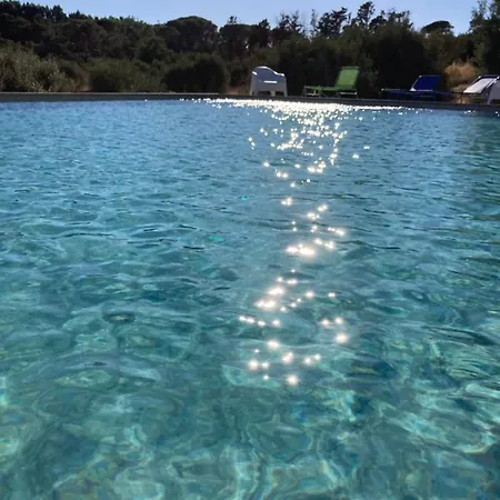 农家乐 Is Conchisceddas *