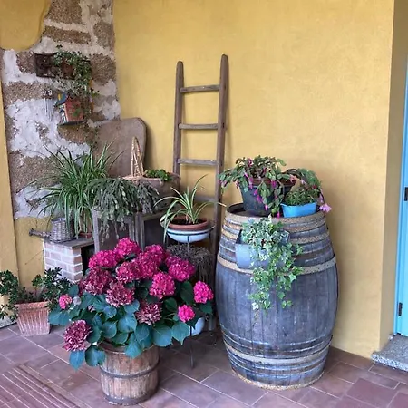 Is Conchisceddas * Gonnosfanàdiga