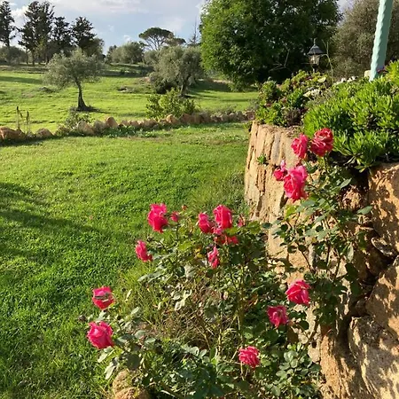 农家乐 Is Conchisceddas Gonnosfanàdiga