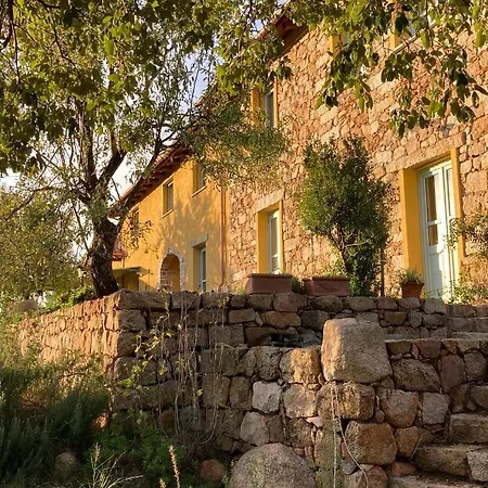 Is Conchisceddas Feriegård