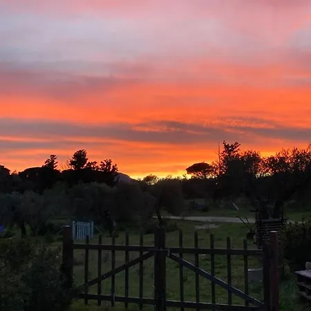 Is Conchisceddas Feriegård