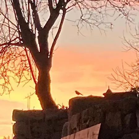 Is Conchisceddas * Gonnosfanàdiga