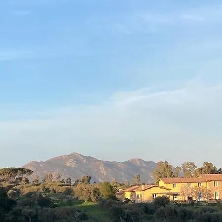 Feriegård Is Conchisceddas