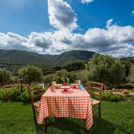 Is Conchisceddas Farm stay *