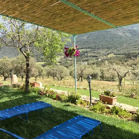 Is Conchisceddas 农家乐