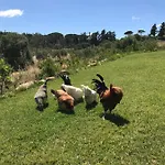 Alloggio per agriturismo Is Conchisceddas