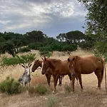 Is Conchisceddas Vakantieboerderij Gonnosfanàdiga