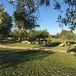 Alloggio per agriturismo Is Conchisceddas Gonnosfanàdiga