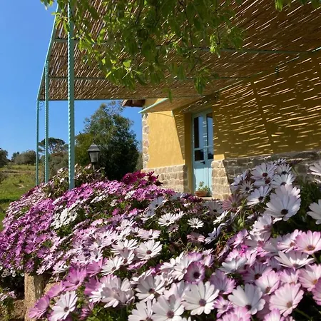 Is Conchisceddas Vakantieboerderij