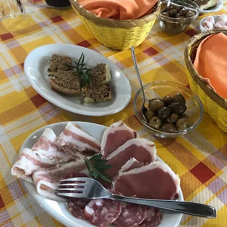 Alloggio per agriturismo Is Conchisceddas *