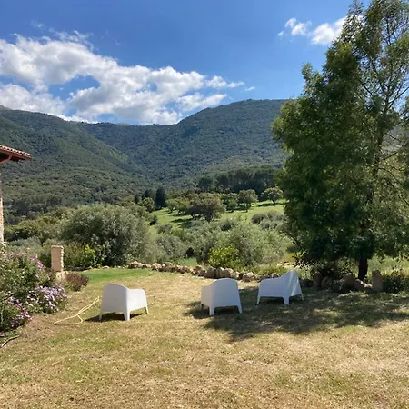 Is Conchisceddas Gonnosfanàdiga