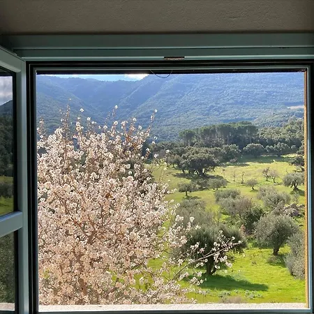 Agroturismo Is Conchisceddas Gonnosfanàdiga