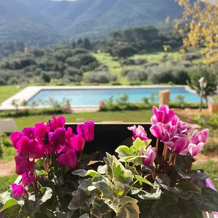 Is Conchisceddas Agroturismo *