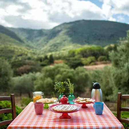 Is Conchisceddas Vakantieboerderij Gonnosfanàdiga