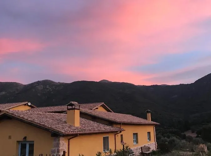 Is Conchisceddas *