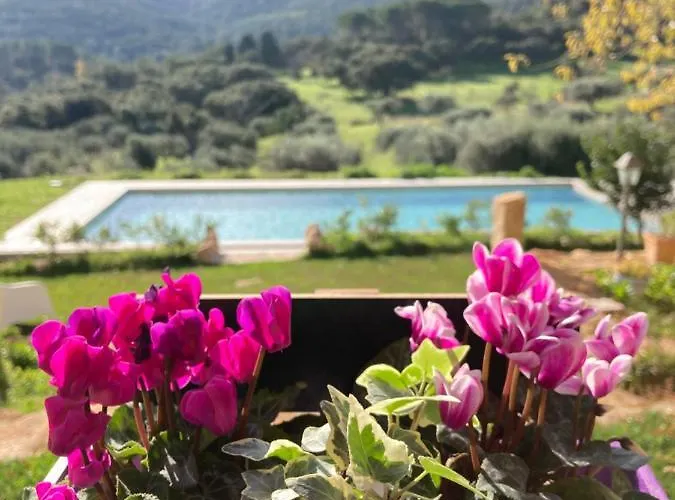 Is Conchisceddas Bauernhof *